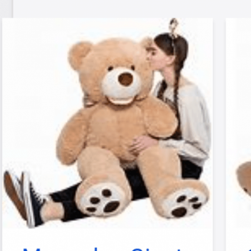 Buy me Giant Teddy 4 Toy Edging Video Bundle