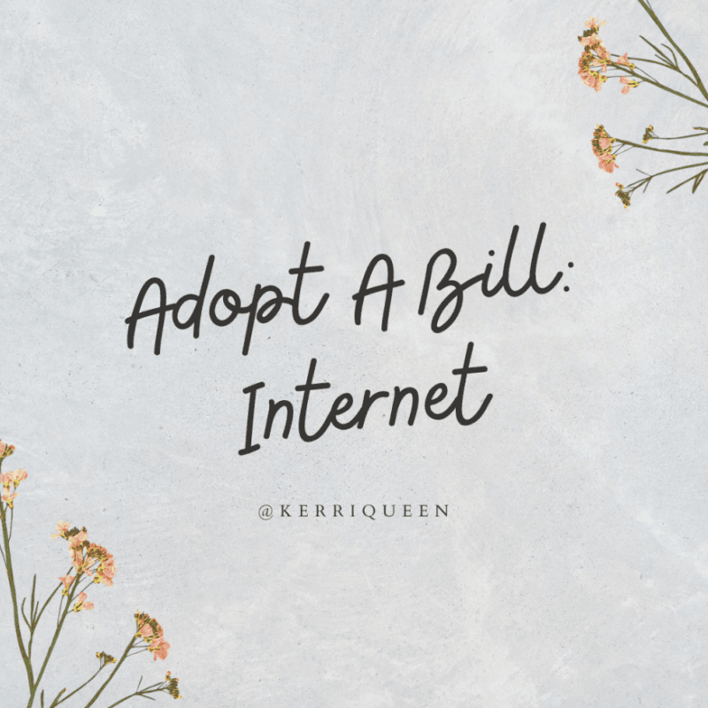 Internet Adopt A Bill