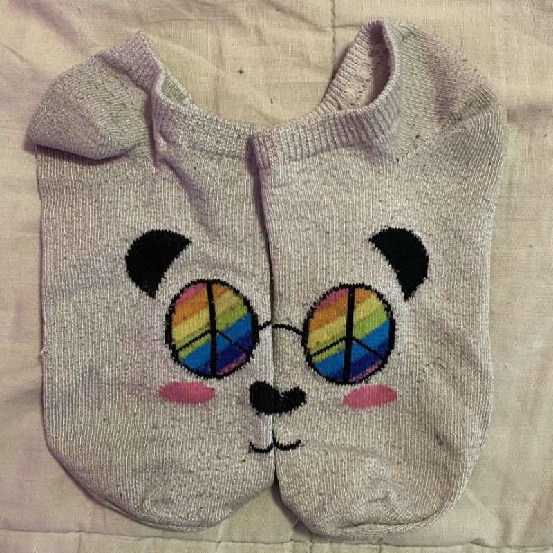 Dingy Rainbow Panda Socks