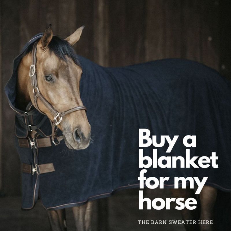 Buy a new Horse Blanket for my Horse