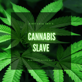 CANNABIS SLAVE