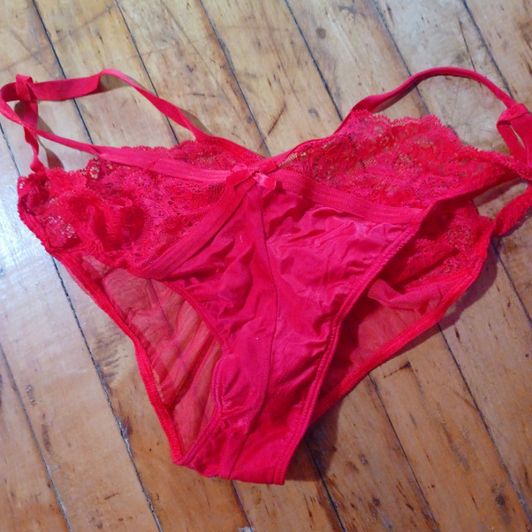 Sexy Red Silky Bikini Style Panties