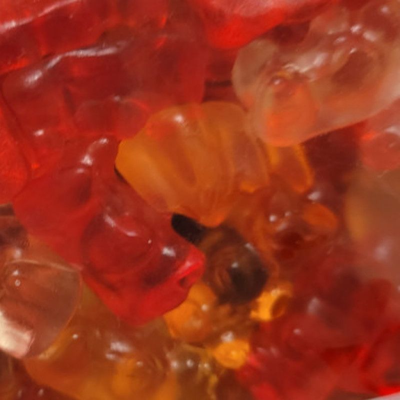 Gummy Bears Soaked In My Saliva