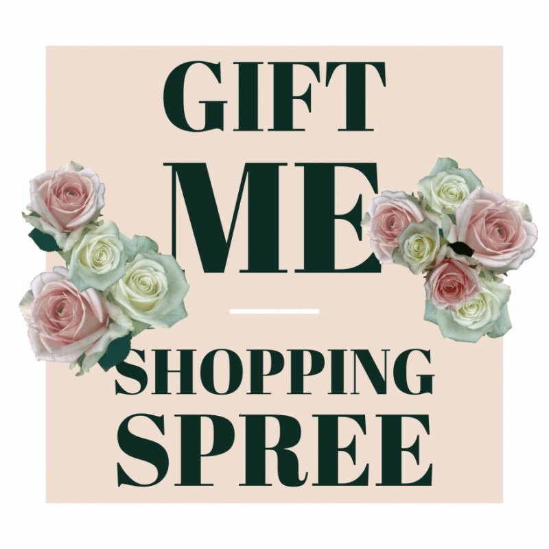 Gift Me: A Crazy Fun Shopping Spree!