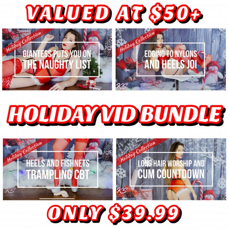 HOLIDAY 4 VIDEO BUNDLE