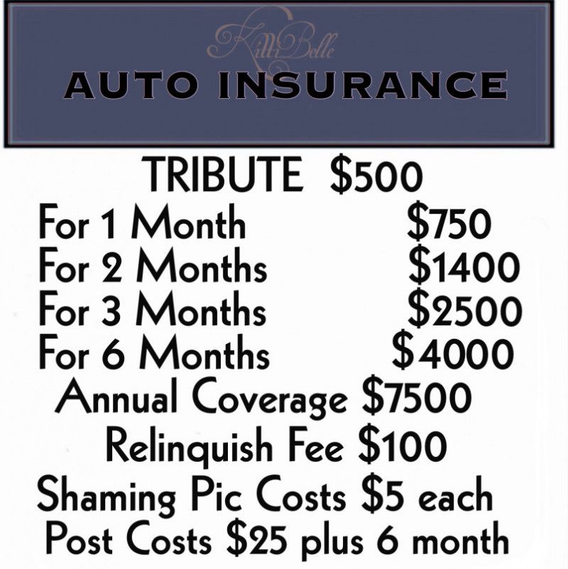 Auto Insurance