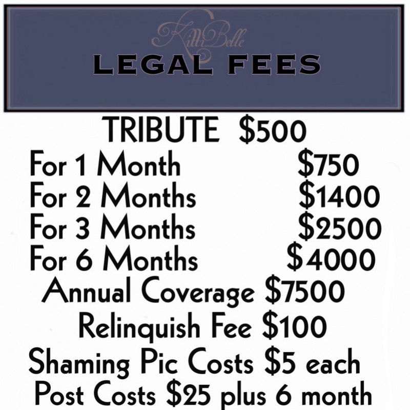 Legal Fees