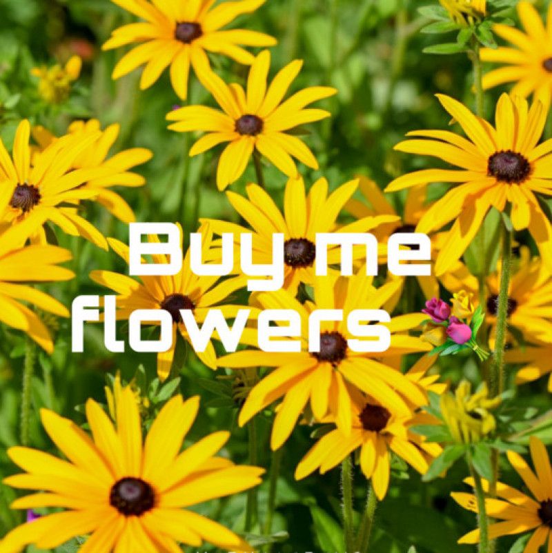 Buy me flowers