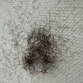 My Pubic Hair shavings