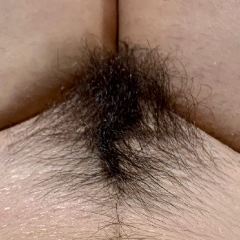 Hairy Lovers