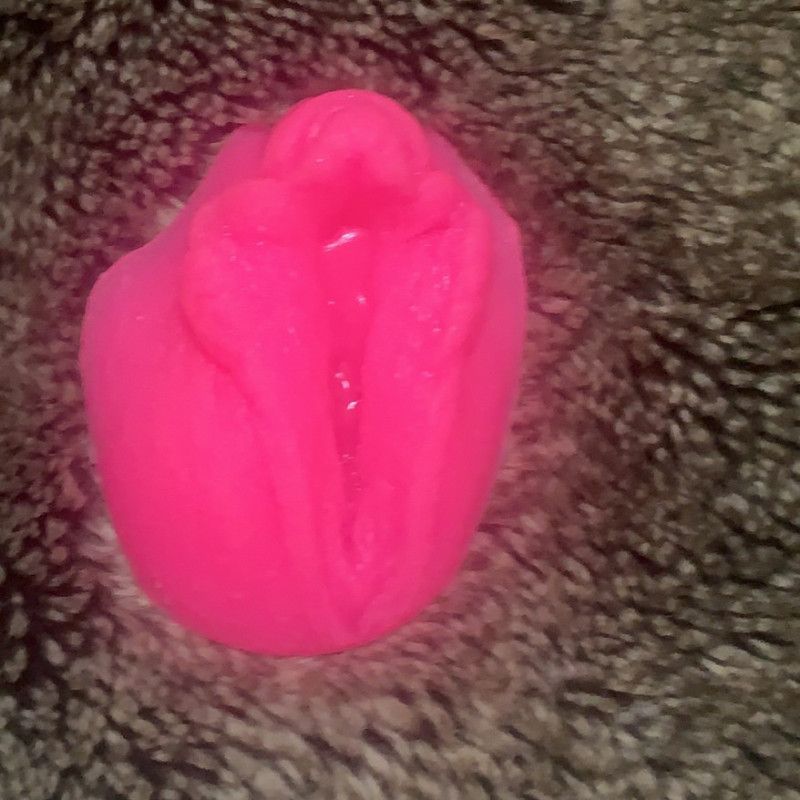 My pussy silicone replica mold