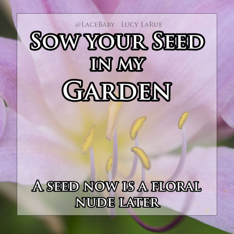 Sow Your Seed in my Garden