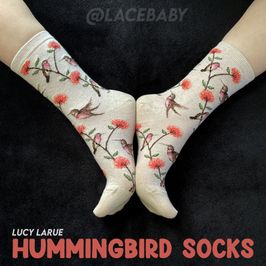 Hummingbird Socks