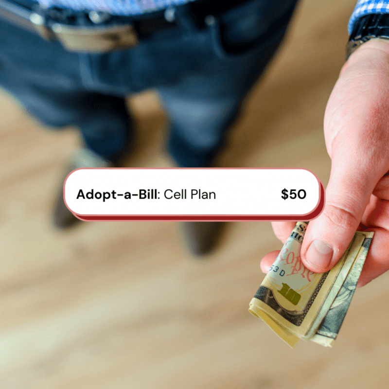 Adopt a Bill CELL PLAN