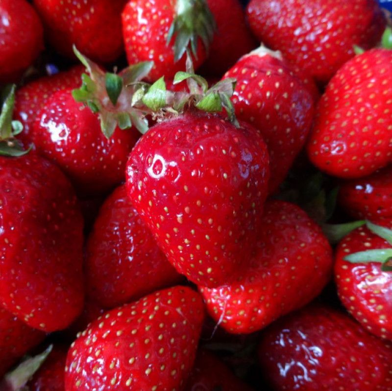 Fresh strawberries from the market