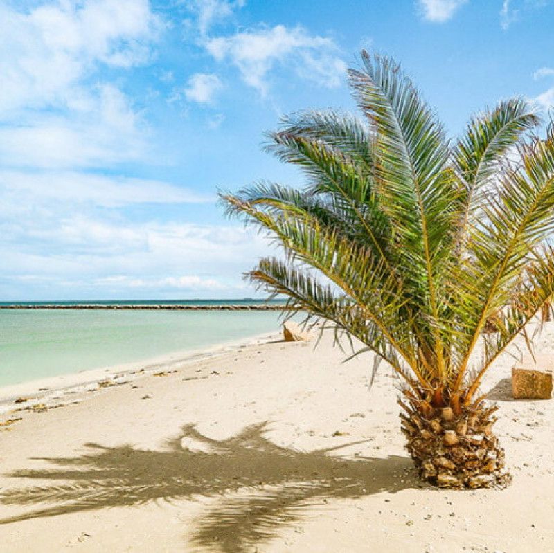 Spoil me with a day off on the beach