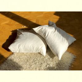 2 Feather Pillows with a Pussy Juice