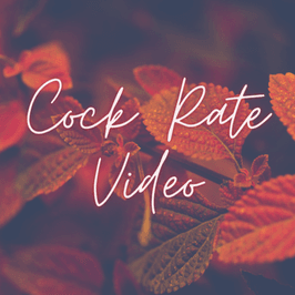 Cock Rate Vid