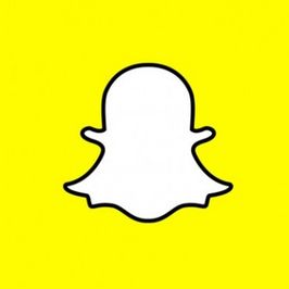 Lifetime SnapChat Access