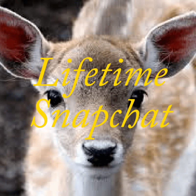 Lifetime Snapchat