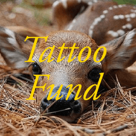 Tattoo Fund