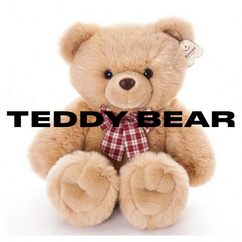 TEDDY BEAR