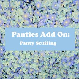 PANTIES ADD ON: Panty Stuffing