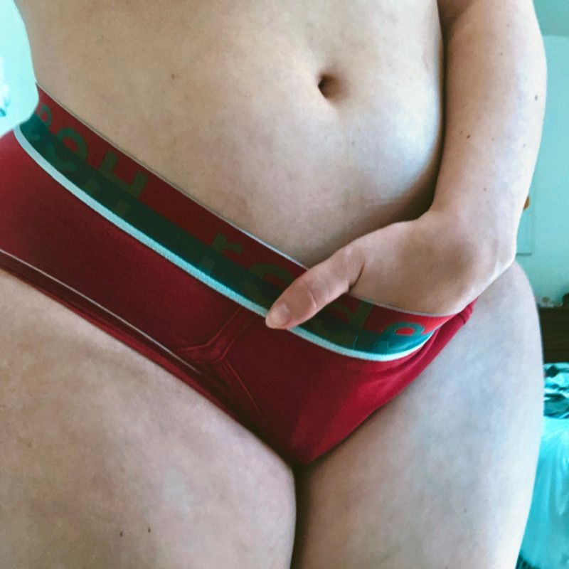 Red Rodeoh Brief Panties