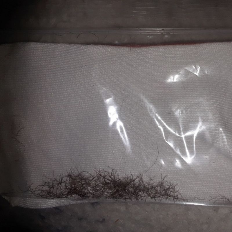 Baggie of Bush