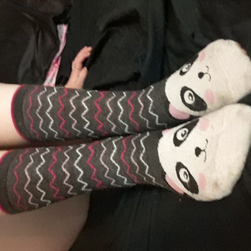 Panda Socks