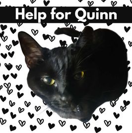 Help forQuinn