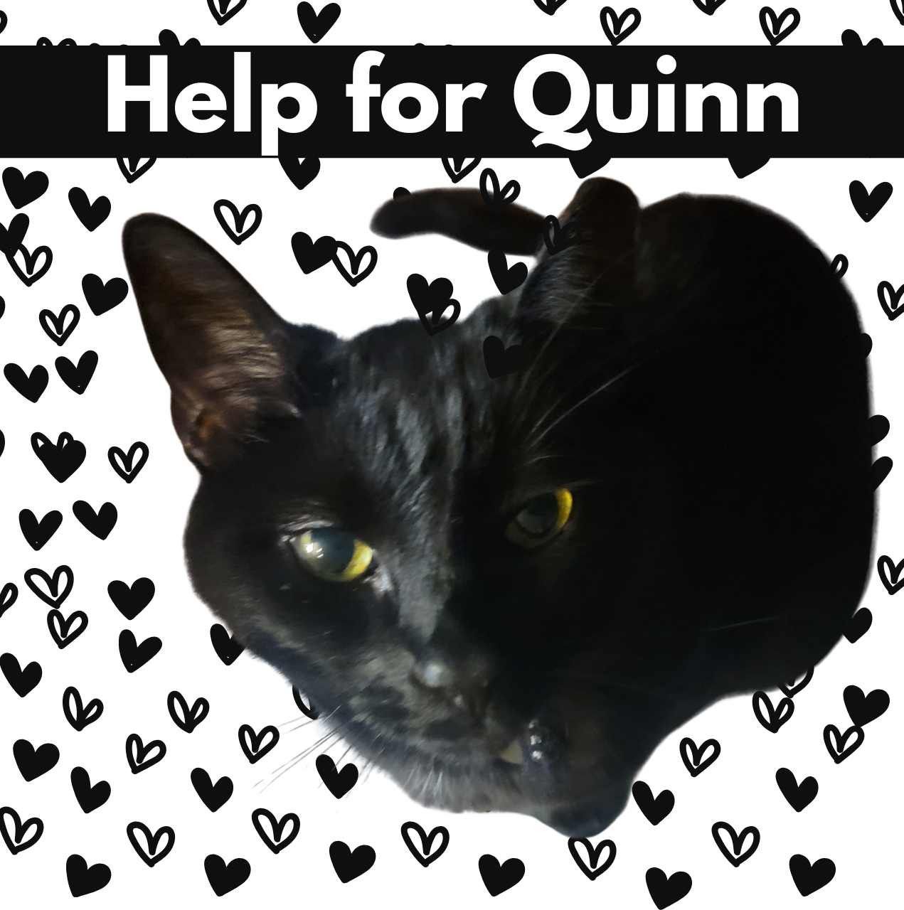 Help forQuinn