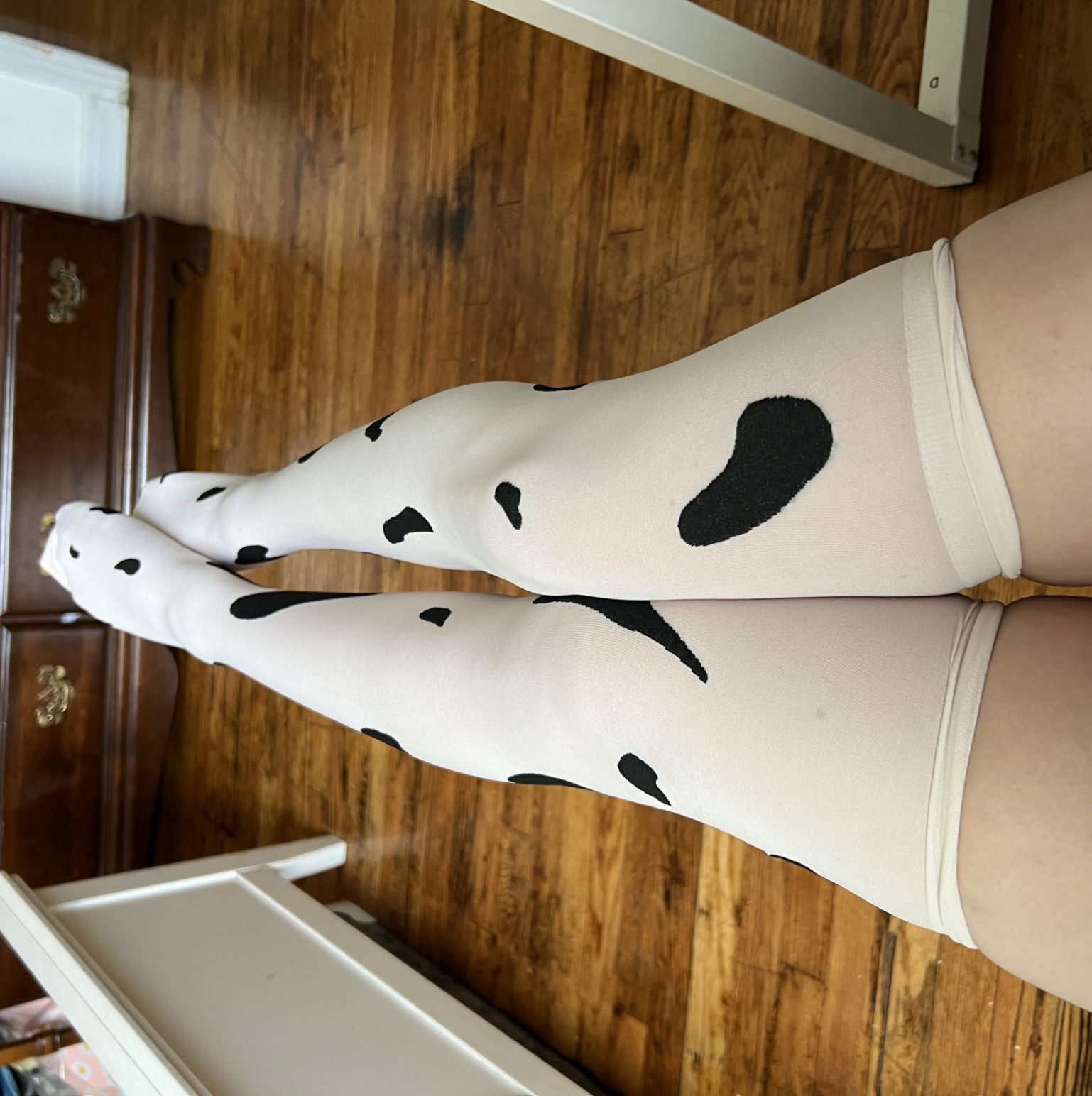 cow thigh high socks