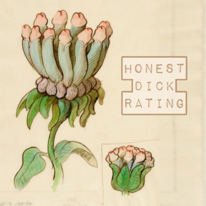 Honest Dick Rating