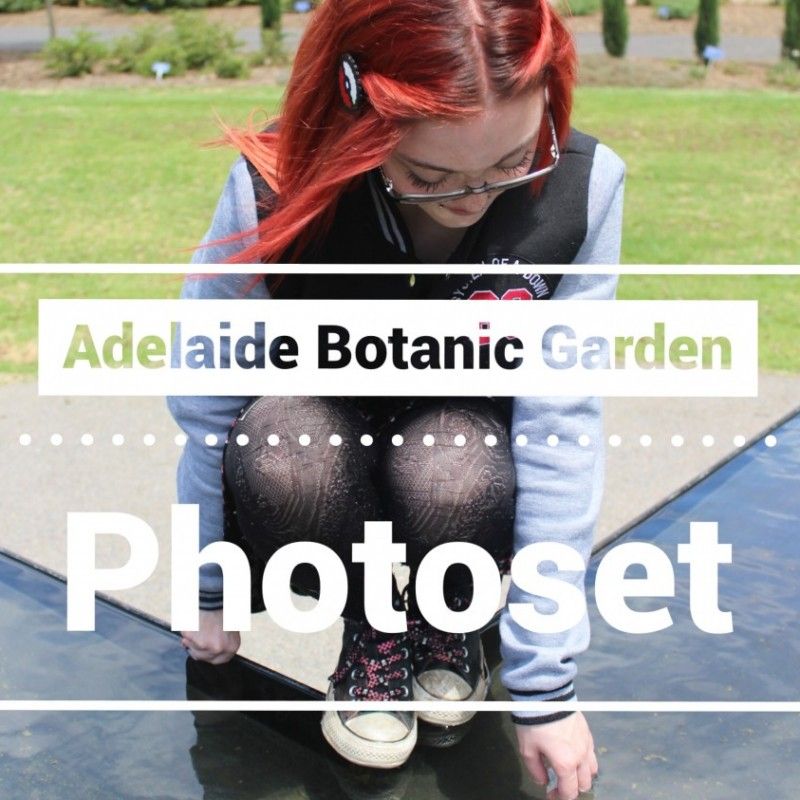 Photoset: Adelaide Botanic Garden