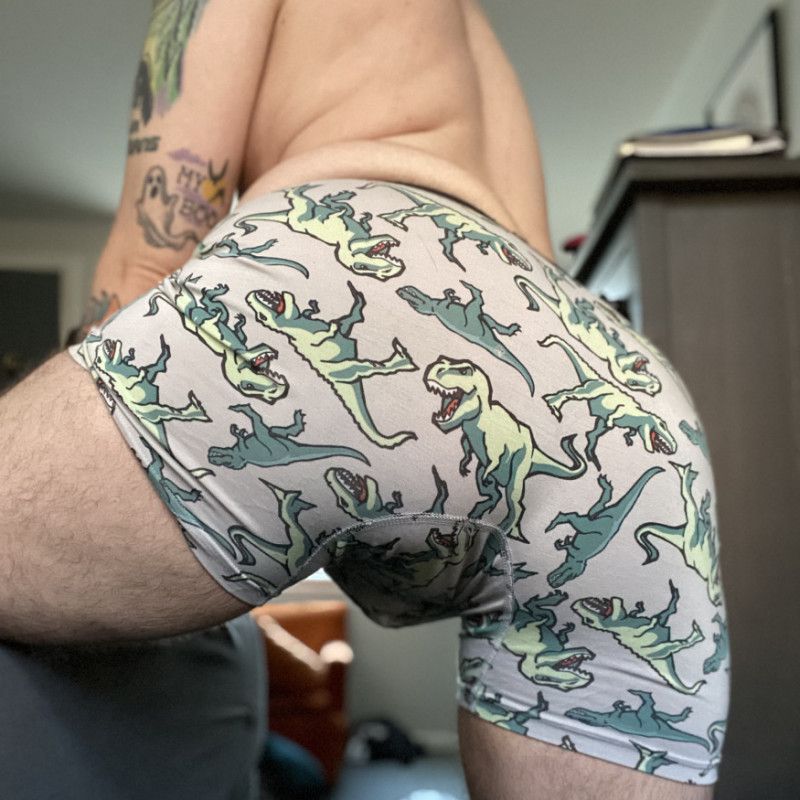 T Rex Undies!