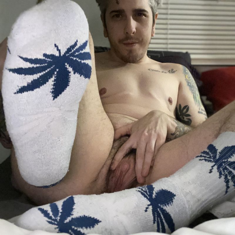 Novelty W33D Socks