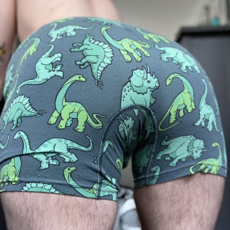 Dinosaur Undies