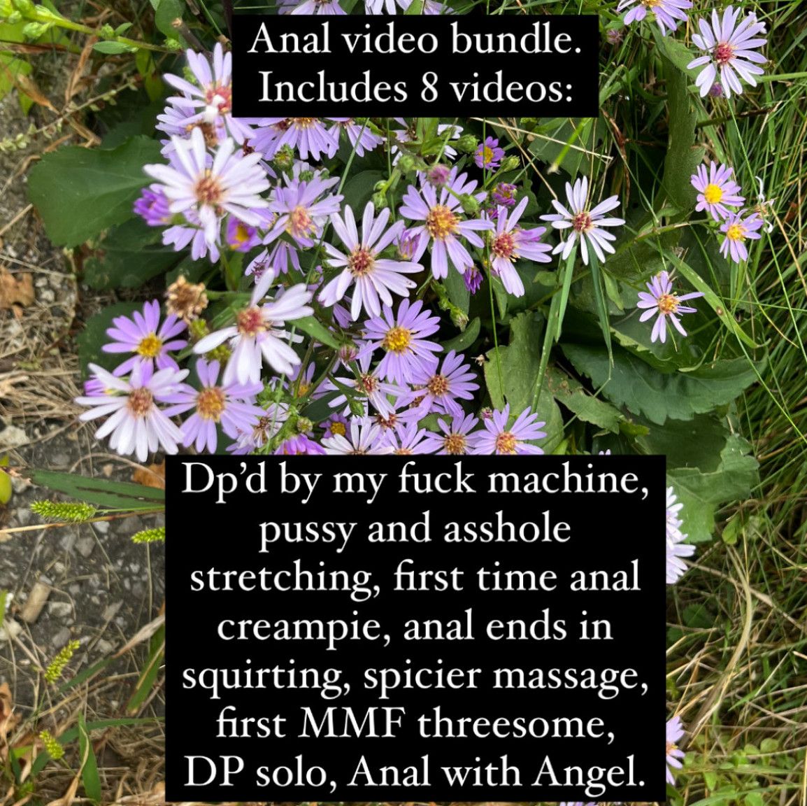 Anal video bundle