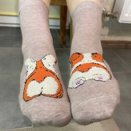 Cute corgi socks