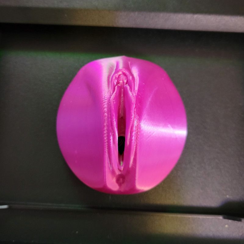 3D Printed Model of my Pussy!