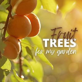 Fruit Trees for My Garden