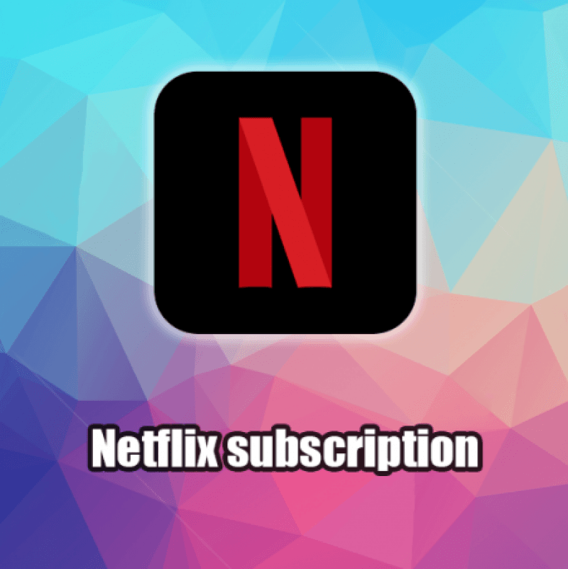 Netflix subscription