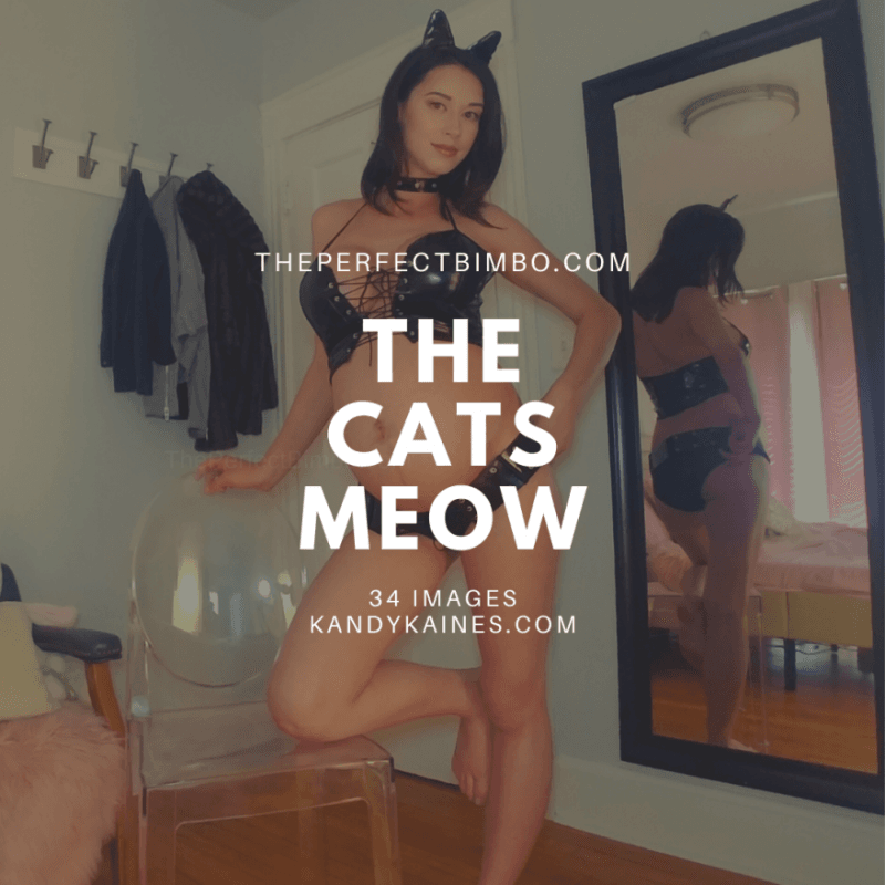 The Cats Meow