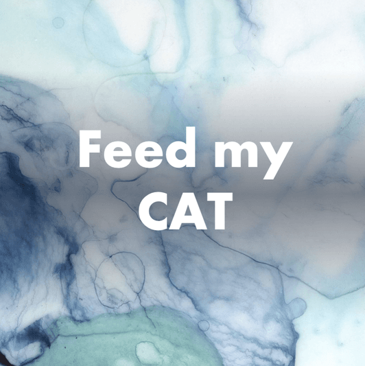 Treat my cat with tasty food