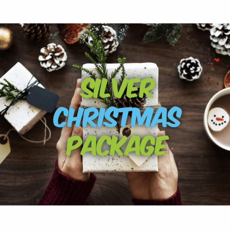 Silver Christmas Package