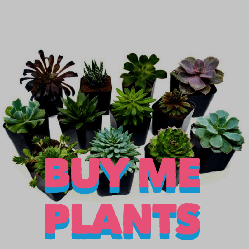 Buy Me Plants