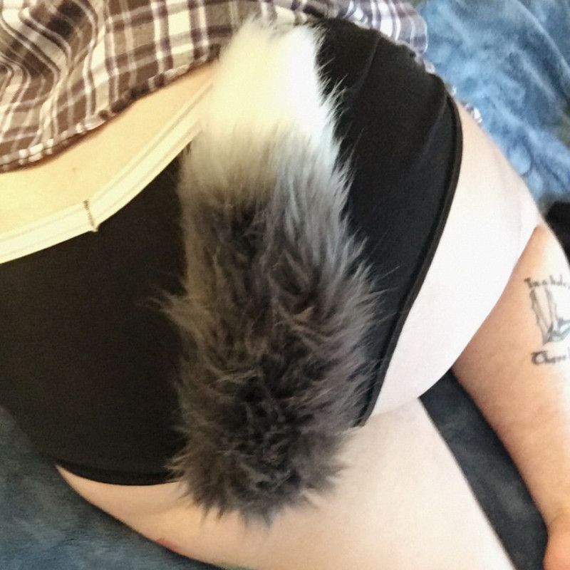 Tail Plug Photo Set