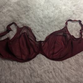 38K Maroon Bra with Autographed Polaroid