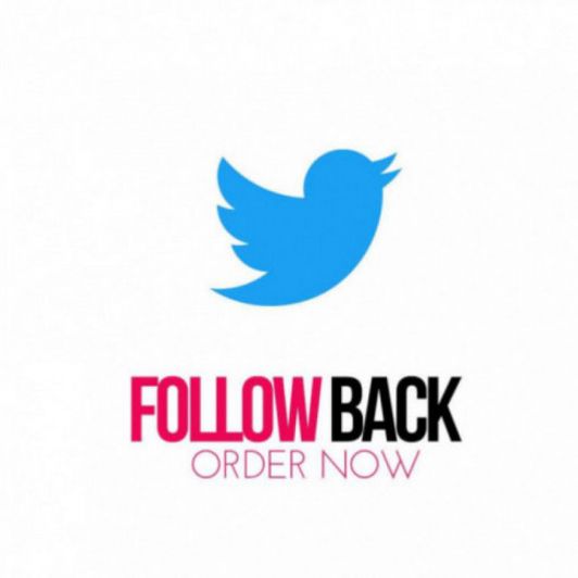 Twitter follow back